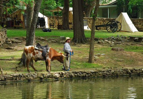 Folk Festival scene