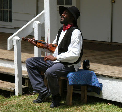 Folk Festival fiddler