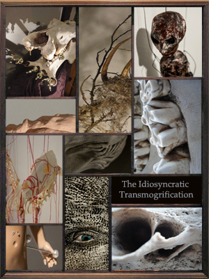 Idiosyncratic Transmogrification poster