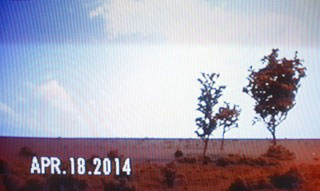 video still with an image of three small trees in a flat and barren landscape with the date APR.18.2014