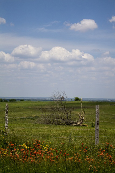 landscape photograph
