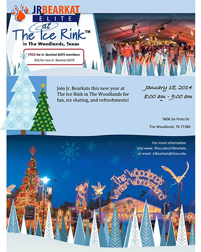 Ice Skating Poster