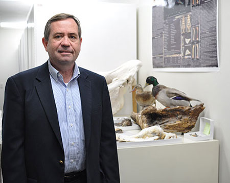 Jerry Cook standing in front of different species of ducks