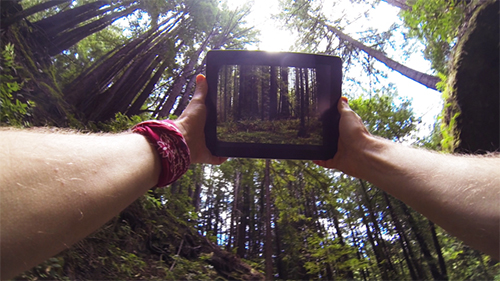 photo of man standing in trees holding a picture of the same trees