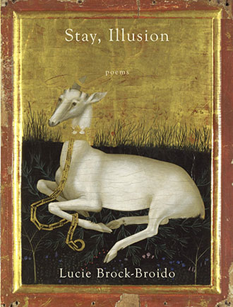 Stay Illusion book cover
