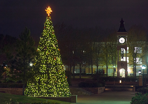 Tree of Light '13 