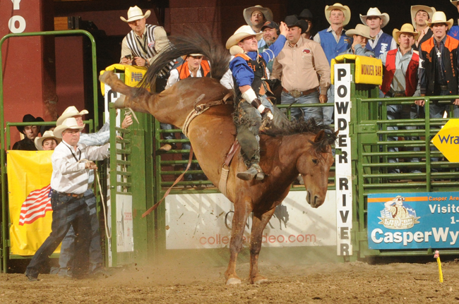 Tutor on a bucking horse