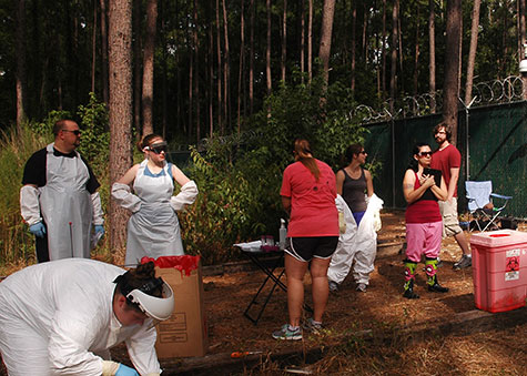 Bucheli, Lynne, and students working in the field