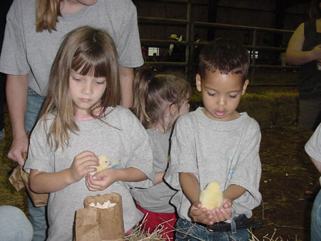 Children with chicks