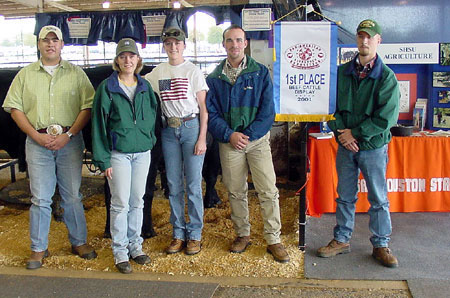 Beef Cattle Team