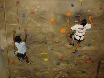 Climbing wall