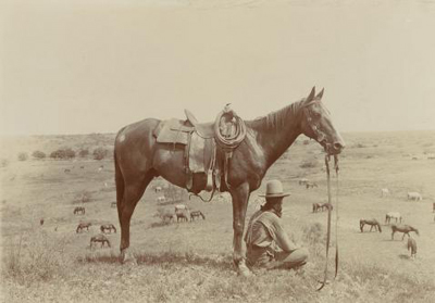 photo from cowboy exhibit