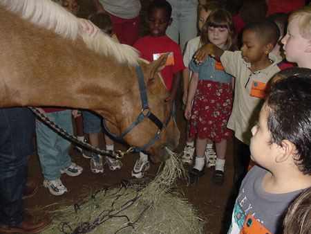Children with horse