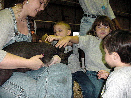 Children petting pig